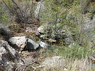 photo thumbnail #2