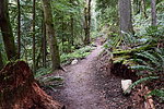 photo thumbnail #9