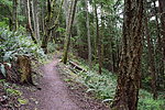 photo thumbnail #11