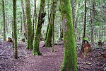 photo thumbnail #14