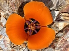photo thumbnail #12