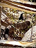 photo thumbnail #15