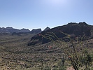 photo thumbnail #2