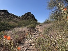 photo thumbnail #5