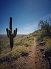 photo thumbnail #8