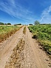 photo thumbnail #12
