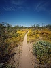 photo thumbnail #14