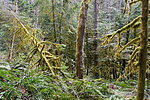 photo thumbnail #15