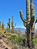 photo thumbnail #10