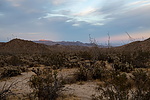 photo thumbnail #3