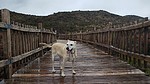 photo thumbnail #4