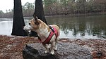 photo thumbnail #11
