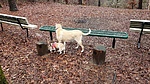 photo thumbnail #6
