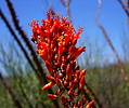 photo thumbnail #3