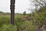 photo thumbnail #8