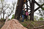 photo thumbnail #12