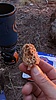 photo thumbnail #12