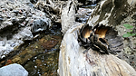 photo thumbnail #9