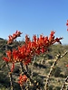 photo thumbnail #8
