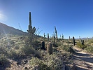 photo thumbnail #9
