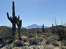 photo thumbnail #12