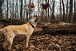 photo thumbnail #13