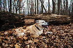 photo thumbnail #14