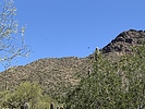photo thumbnail #7
