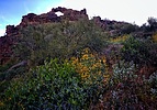 photo thumbnail #10