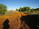 photo thumbnail #9