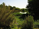 photo thumbnail #13