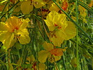 Featured Detail Photo