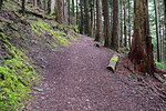 photo thumbnail #6