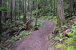 photo thumbnail #8