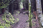 photo thumbnail #13
