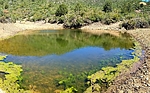 photo thumbnail #15