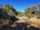 photo thumbnail #7