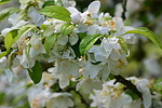photo thumbnail #14