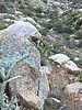 photo thumbnail #10