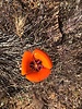 photo thumbnail #13