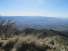 photo thumbnail #2