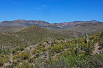 2020-04-20 :1: Cherry Creek Road FR 203 :: Oregon_Hiker