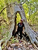photo thumbnail #10