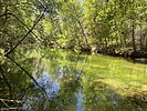photo thumbnail #12