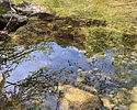 photo thumbnail #15