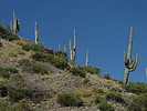 photo thumbnail #13