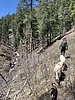 photo thumbnail #9