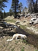 photo thumbnail #11