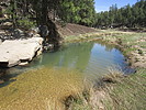 photo thumbnail #2
