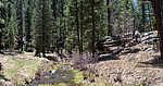 photo thumbnail #13